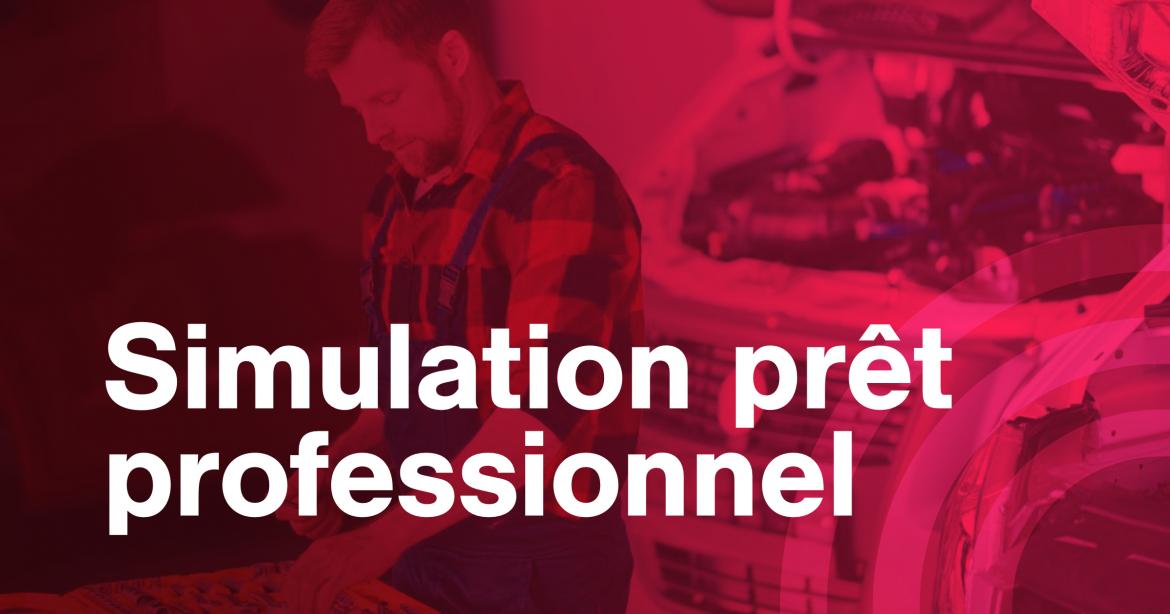 simulation pret professionnel